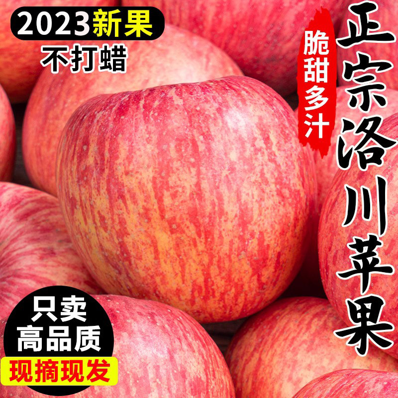 正宗洛川苹果红富士官方旗舰店粉面沙甜萍果冰糖心新鲜水果批发,水产肉类/新鲜蔬果/熟食,苹果,淘宝优惠券,粉丝福利购,淘宝优惠卷