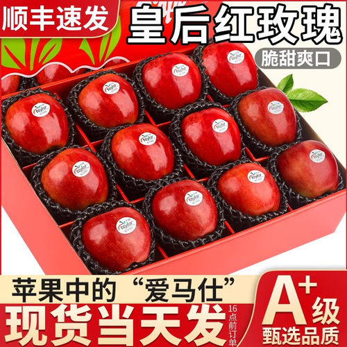 新西兰进口红玫瑰苹果顺丰包邮