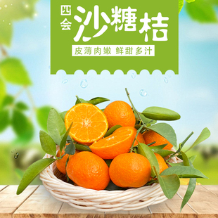 正宗广东四会沙糖桔新鲜整箱5斤当季水果蜜沃皇帝柑9砂丑橘西礼盒