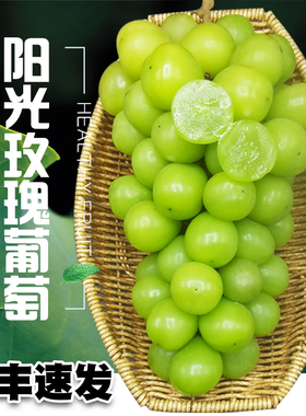 阳光玫瑰葡萄晴王青提子香印新鲜水果整箱当季无籽山东2023包邮