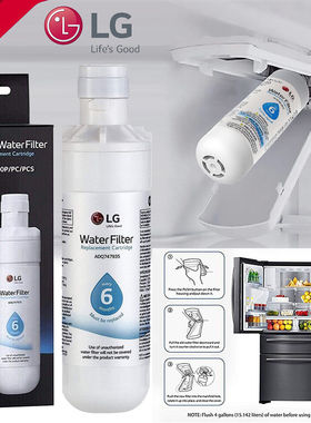 冰箱用滤芯LG-LT1000P ADQ747935  Refrigerator Water Filte 2支