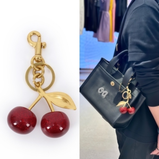 适用coach包包樱桃挂件延长链条改造蔻驰草莓挂饰配件苹果装饰链