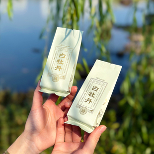 政上白/上等政和白茶2024年特级牡丹王荒野白牡丹白茶茶叶试喝装