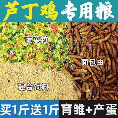 芦丁鹌鹑鸡专用饲料粮食育小鸡食料开口通用卢丁鸡正大吃的蔬菜干
