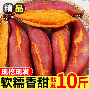 新鲜蜜薯9斤板栗红薯沙地糖心地瓜农家自种番薯山东烟薯香薯山芋