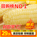 25年新玉米有机新玉米新鲜糯玉米棒甜旗舰店粘黏真空包装 袋非东北