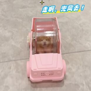 金丝熊跑轮仓鼠静音解闷玩具不卡脚跑步滚轮小汽车可外带跑球笼子