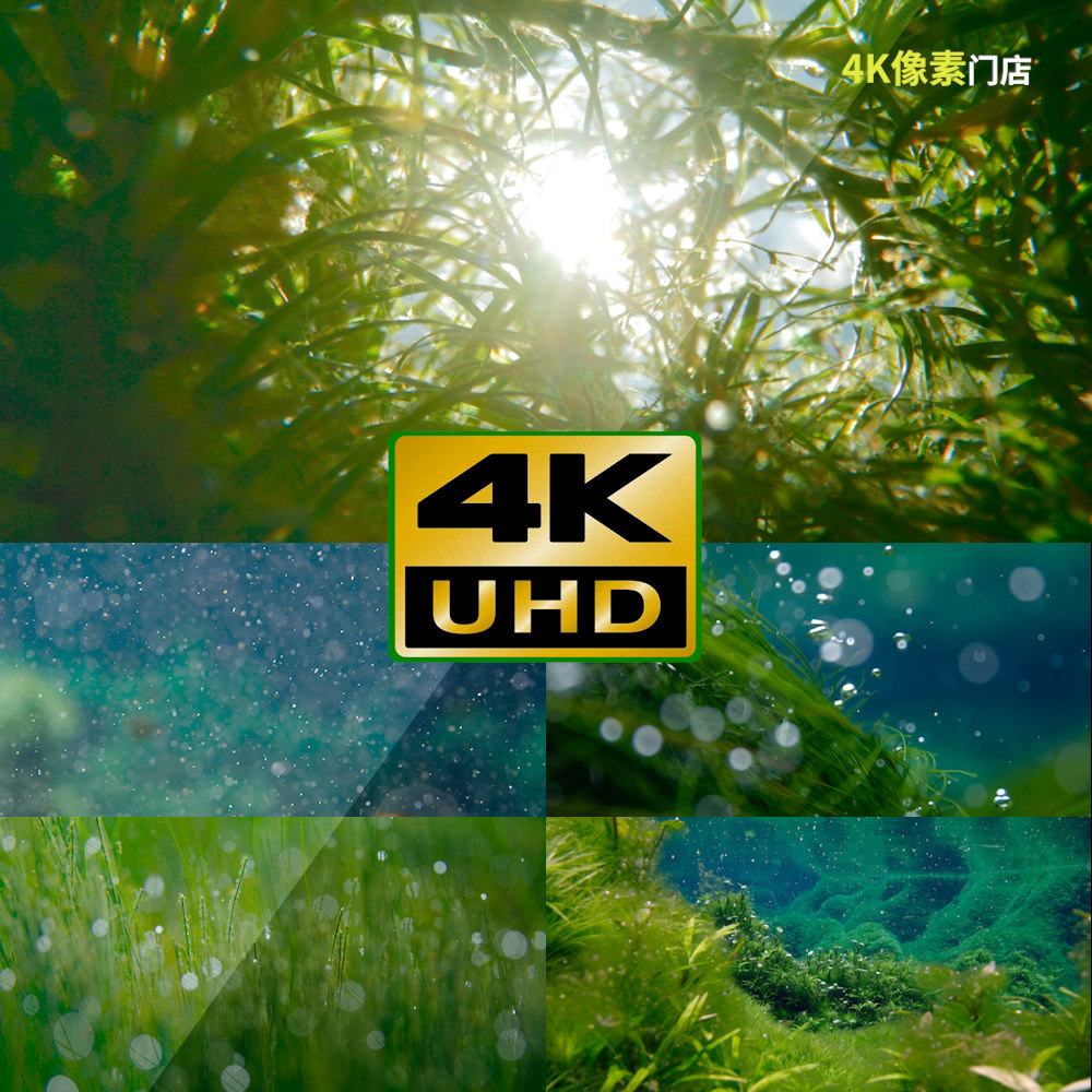 826-4k视频素材-水草微观水生植物生态自然环境保护生机活力