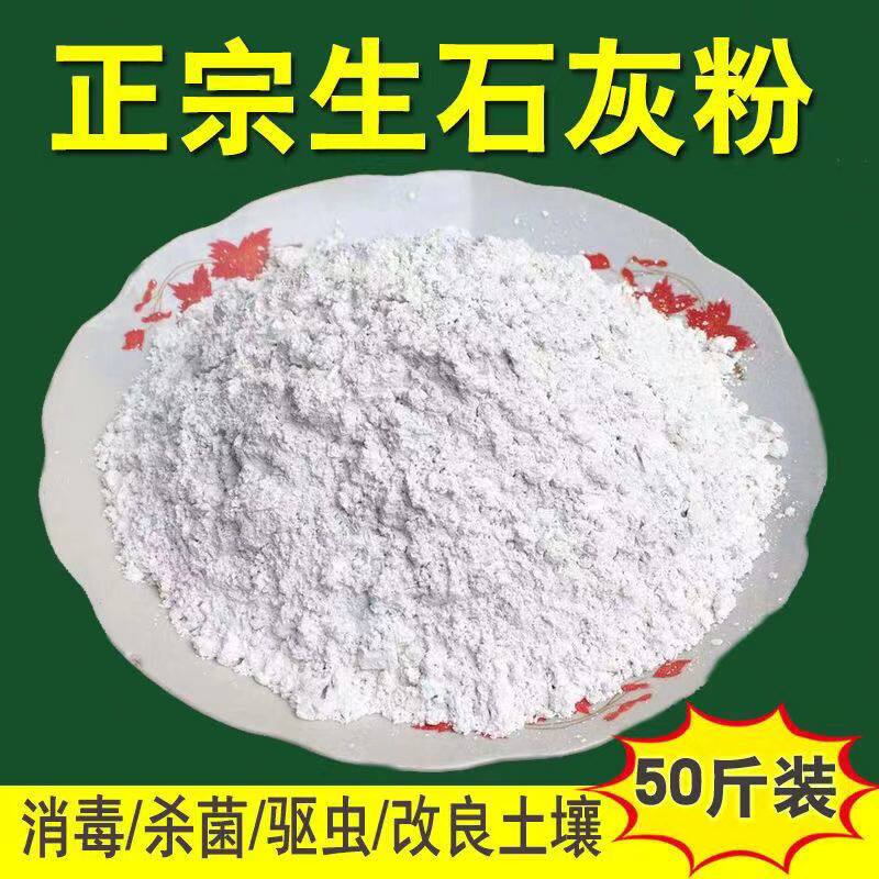正宗生石灰粉干燥除湿地下室驱虫草杀菌消毒防霉改良水质刷白种树