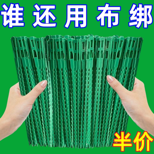 绿色多用途园艺植物固定绑绳可松式活扣鱼骨扎带可重复使用束线带