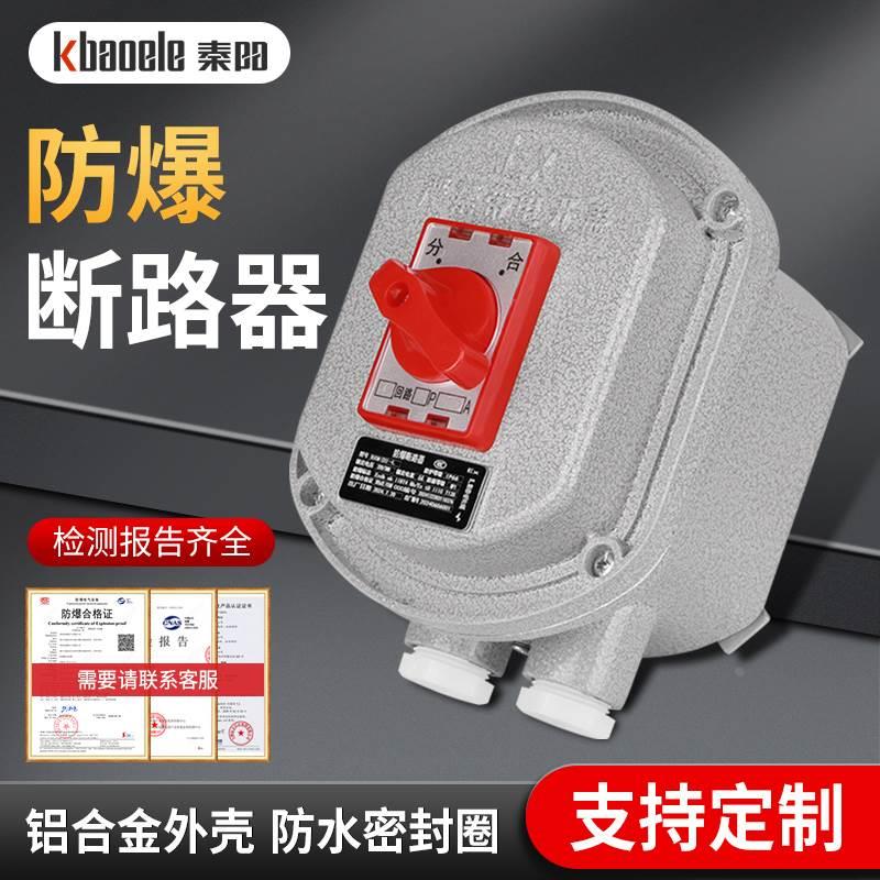 防爆断路器2P工业10A16A63A密封防水空气开关一体式铝合金控制盒