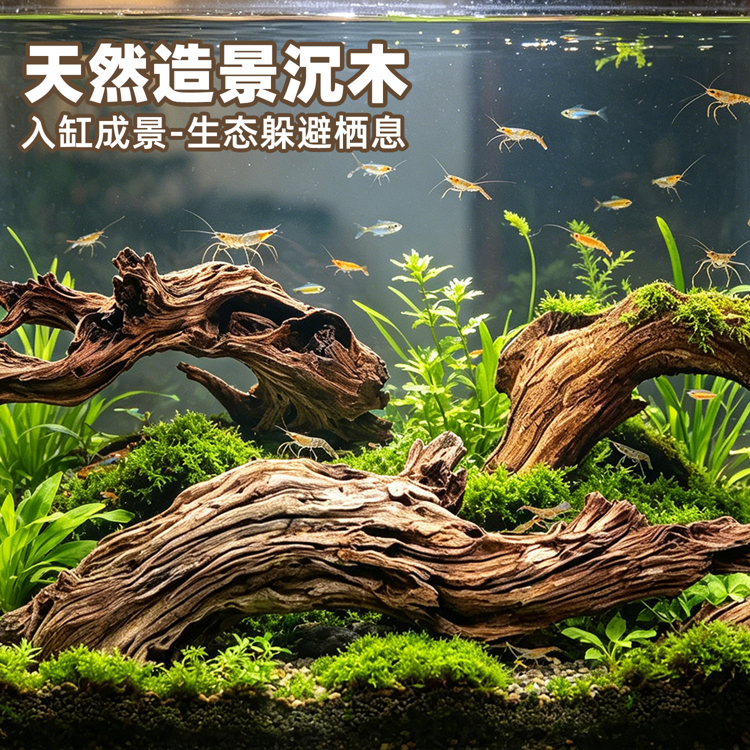 鱼缸天然沉木躲避屋鱼虾窝水族箱草缸造景装饰龙骨乌龟微景观树桩