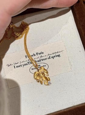 法国coopkoops925银拉丝龟背竹项链秋冬精致高级感点钻毛衣链