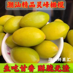 潮汕特产特级灵峰橄榄新鲜现摘酥脆生吃凌峰橄榄青橄榄果孕妇水果
