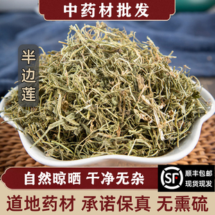 半边莲中药材正品500g克野生半边连瓜仁草半边花细米草急解索干货