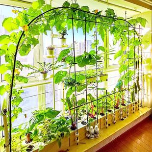 设备 无土栽培黄瓜水培蔬菜家庭室内阳台种菜神器智能箱自动管道式