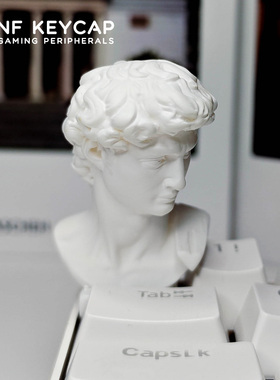 大卫键帽创意客制化键帽esc机械键盘帽个性键帽手工键帽摆件礼物