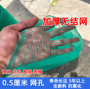 渔网防鸟网围网隔离网无结网养鸡网黄鳝泥鳅菜园网捕鱼网防落叶