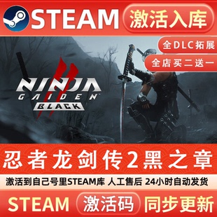 永久入库 全球区CDK 全DLC STEAM游戏激活码 忍者龙剑传2黑之章