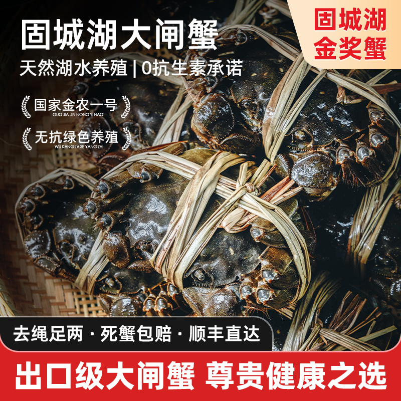 精品固城湖大闸蟹全母死蟹包赔