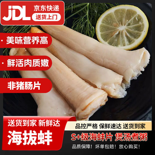 京东包邮拔蚌鲜活非象牙蚌蚌仔新鲜生鲜海鲜水产非象牙蚌象鼻蚌