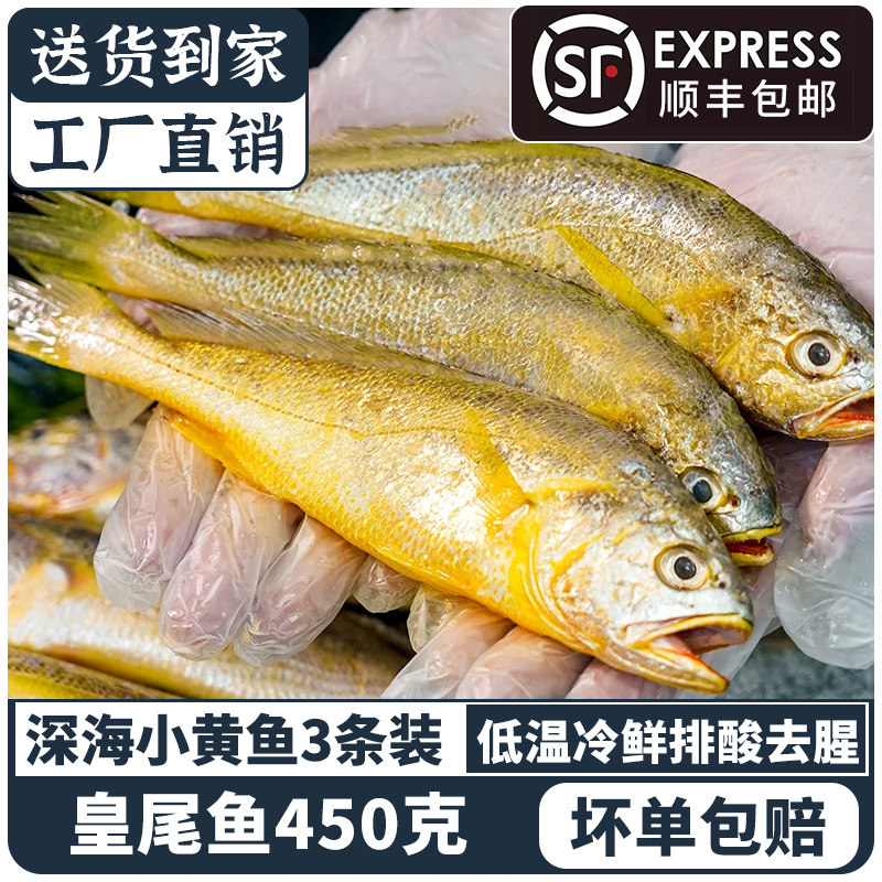 野生小黄鱼顺丰包邮海捕黄花鱼新鲜冷冻东海黄鱼鲜活海鲜非大黄鱼