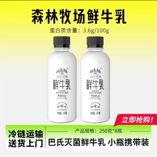【顺丰冷链】云南乍甸鲜奶鲜牛乳森林牧场巴氏鲜牛乳250g*8瓶营养