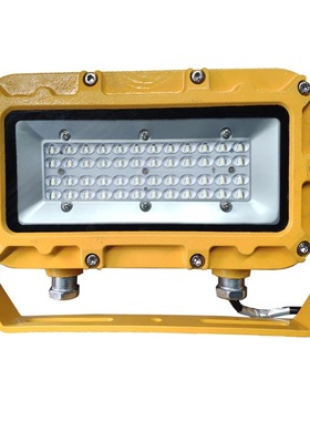 DGC41/127L(A)矿用隔爆型LED支架灯DGC45 DGC51 DGC36防爆投光灯