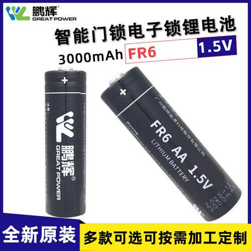 FR6/3000mAh锂铁电池智能门锁电子锁指纹锁儿童玩具鼠标5号AA