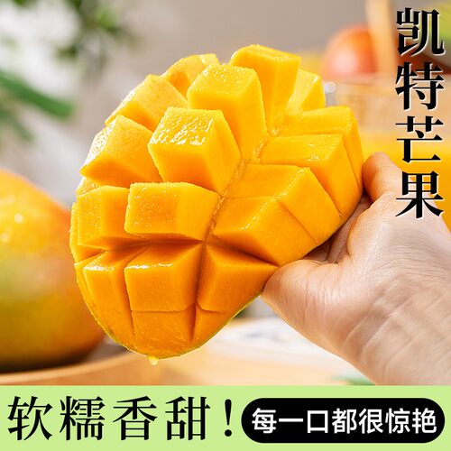 正宗凯特芒大芒果青皮高山树上新鲜水果黄肉忙果香甜青皮果