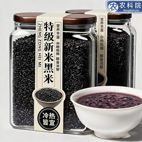 黑米新米正宗东北农家五谷杂粮粗粮黑米大米营养早餐熬粥煮饭食用
