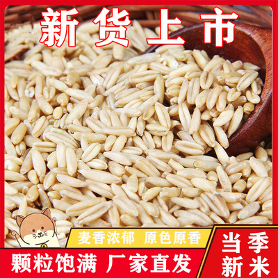 燕麦米2025年新米五谷杂粮米饭糙米有机非胚芽农家新米官方旗舰店