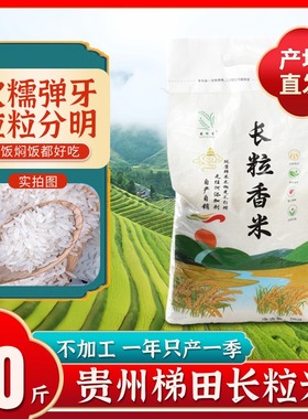 贵州梯田长粒香米5kg新米农家晚稻大米10斤装自种软糯新稻猫牙米