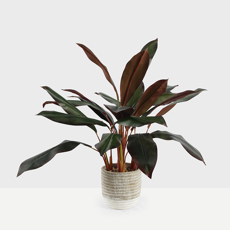 欧美风红色朱蕉新品仿真朱蕉植物盆栽家居装饰摆件时尚朱蕉树