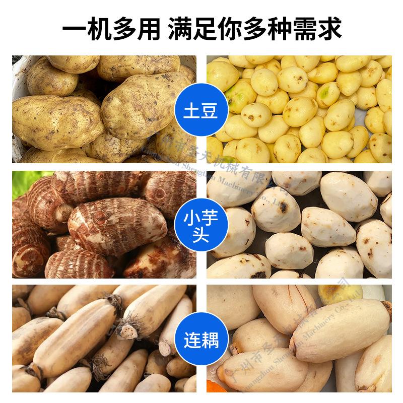 毛辊毛刷清洗皮去有机 姜萝卜ST-QP800芋头番薯清洗脱皮机源头厂