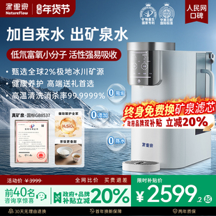 家里泉雪山矿泉偏硅酸净水器家用净饮机台式直饮即热式饮水机