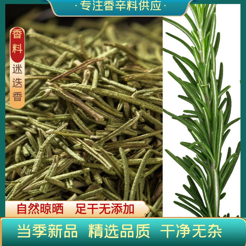 迷迭香干枝干叶调味装饰香料