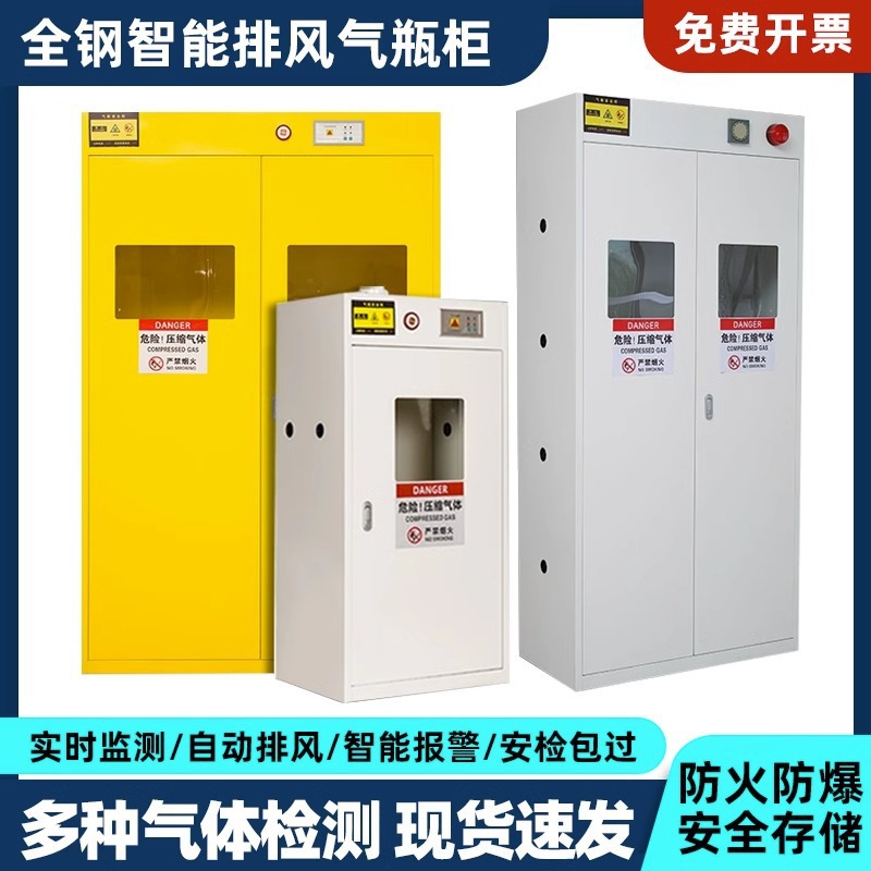 跨境全钢防爆气瓶柜安全柜实验室双瓶煤气罐乙炔氮气氢气体钢瓶