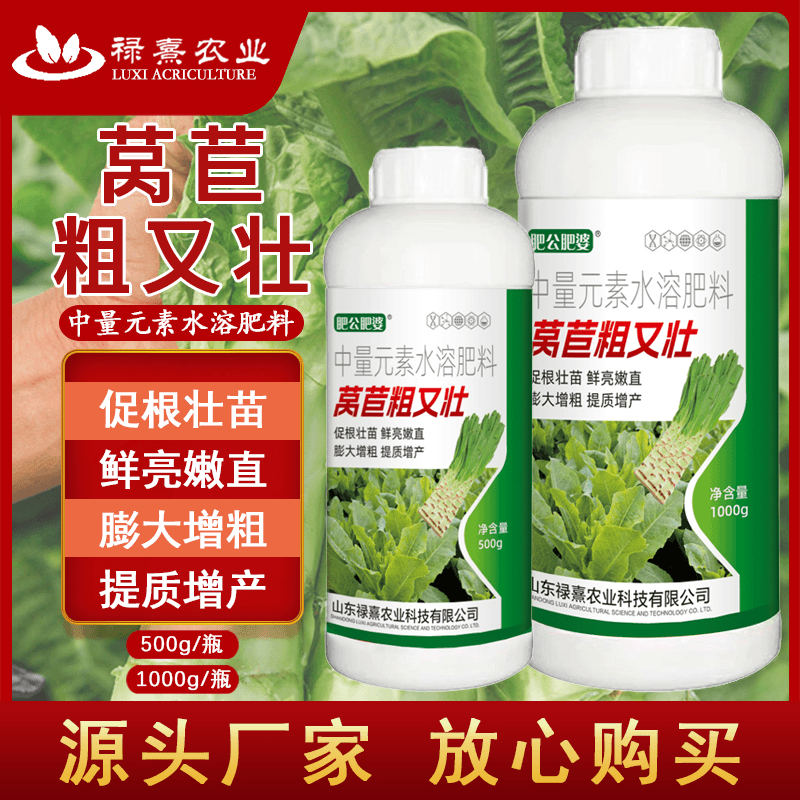莴苣粗又壮莴笋三控水溶膨大肥料防裂专用增产粗嫩叶面肥莴苣香菜