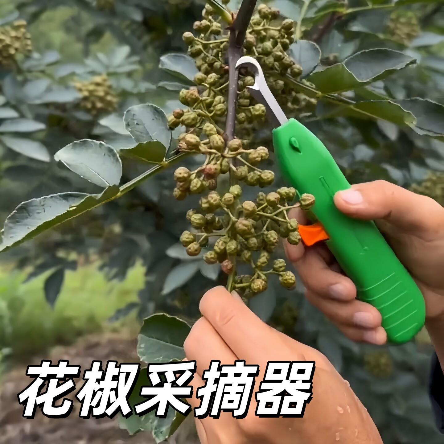 花椒采摘神器多功能剪花椒剪刀果蔬葡萄草莓芸豆荔枝手握摘果工具