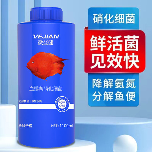 血鹦鹉硝化细菌分解鱼便