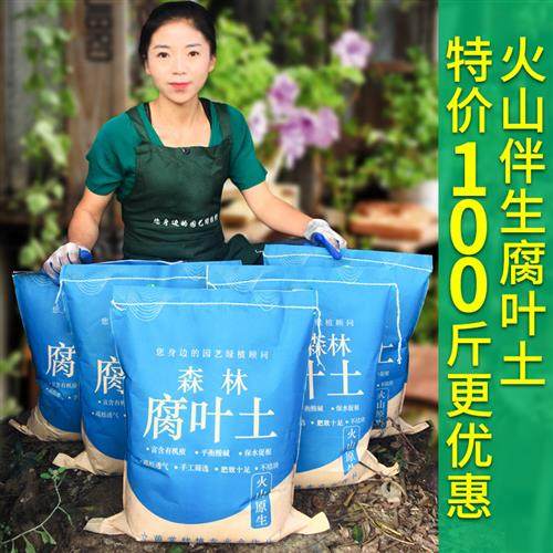 腐叶土腐熟营养土松针腐殖土家用养花种菜多肉山乌龟种植土100斤,鲜花速递/花卉仿真/绿植园艺,介质/营养土,淘宝优惠券,粉丝福利购,淘宝优惠卷