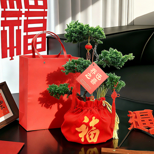 五层塔松盆栽乔迁送礼喜庆绿植室内客厅桌面盆景植物送长辈礼物