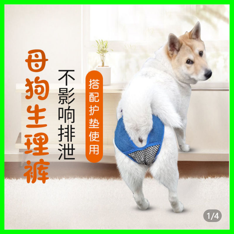 母狗生理裤子狗狗避孕月事裤衣服装宠物防骚扰狗绝育例假狗防交配