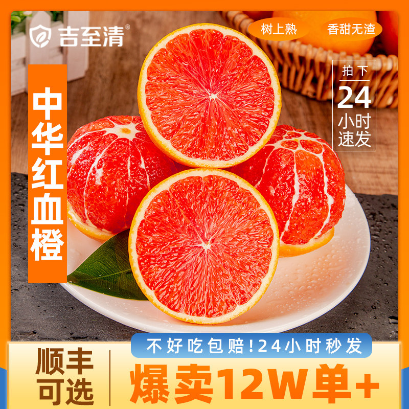 吉至清血橙中华红心肉甜橙