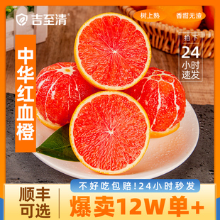 秭归血橙中华红橙新鲜橙子水果当季整箱红心甜橙冰糖果冻手剥5斤