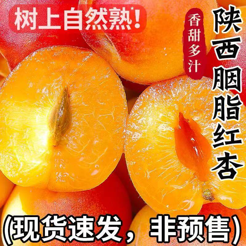 陕西胭脂红杏新鲜水果当季现摘甜贵妃杏青杏子孕妇酸黄杏整箱包邮
