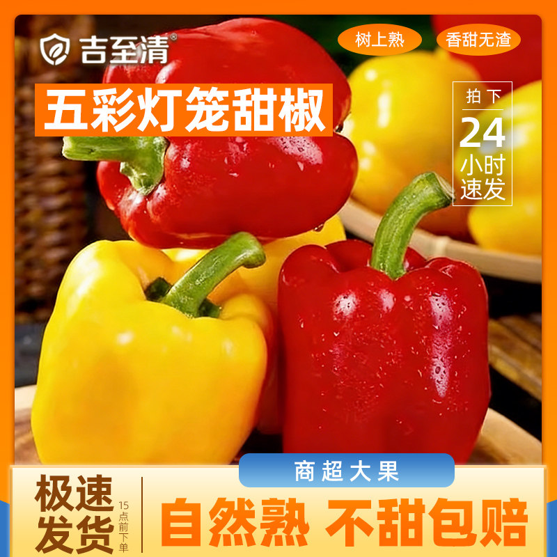 新鲜水果彩椒生吃七彩辣椒灯笼甜椒蔬菜小米圆辣椒蔬果包邮