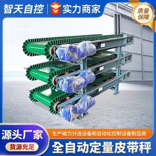 高精度变频调速电子皮带秤 0.5%定量误差 支持定制