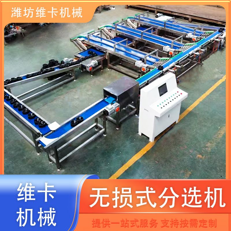 苹果无损选果机 草莓称重分拣机价格 释迦果重量分选设备